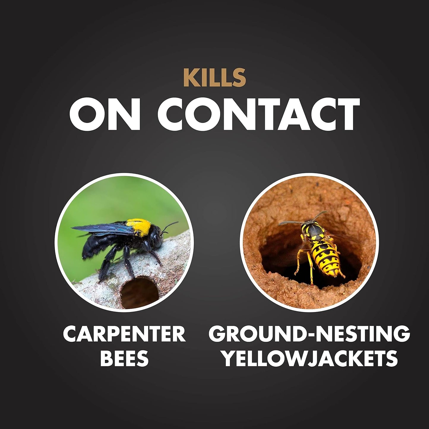 Spectracide Carpenter Bee and Ground Nesting Yellow Jacket Foaming Aerosol, 16-Ounce