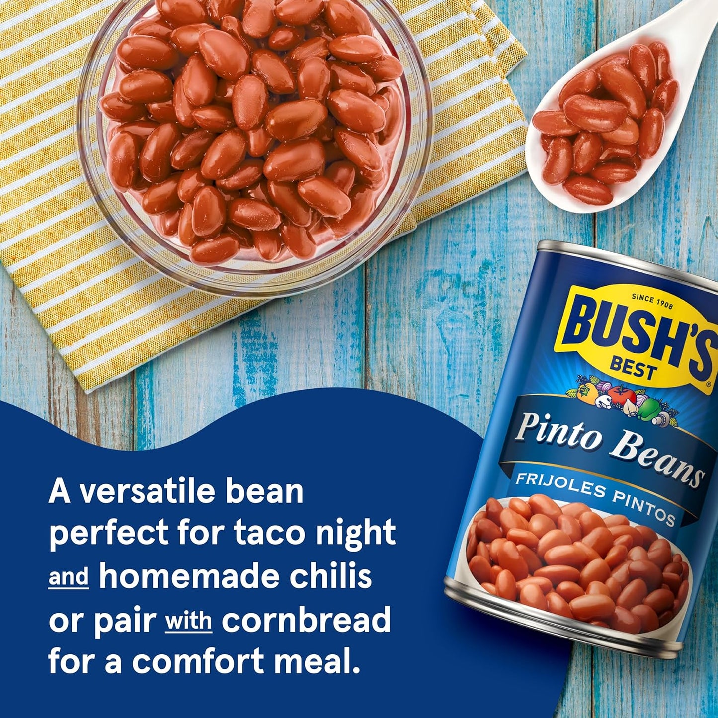 BUSH'S BEST 16 oz Canned Pinto Beans, Source of Plant Based Protein and Fiber, Low Fat, Gluten Free, Great For Soups, Salads and More, (Pack of 12)