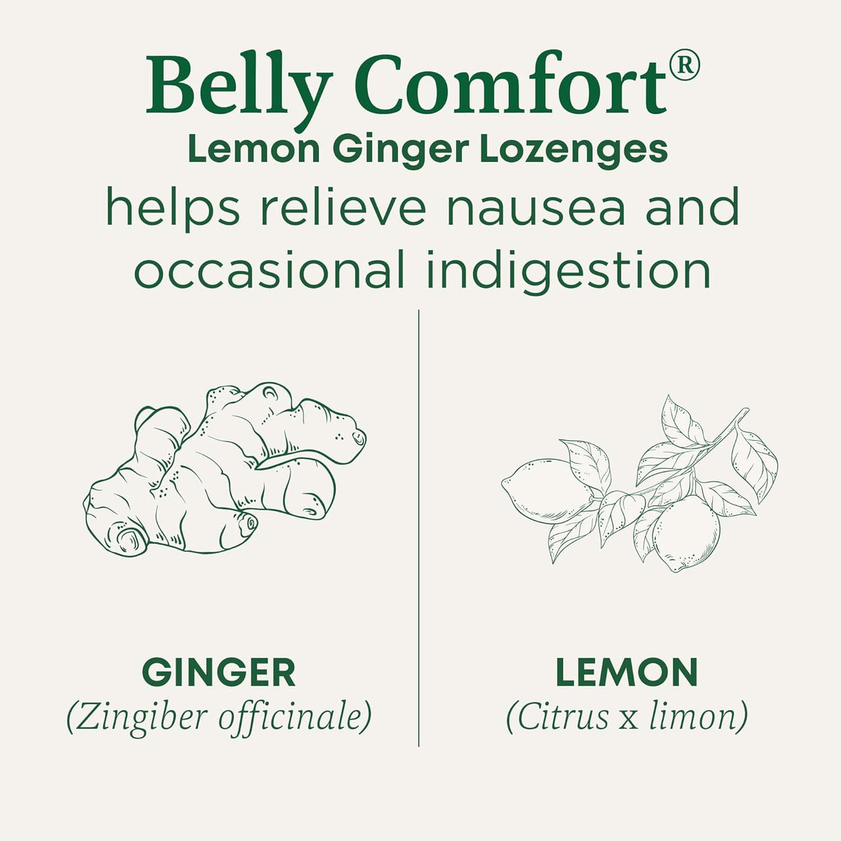 Traditional Medicinals Organic Belly Comfort Lozenges Lemon Ginger