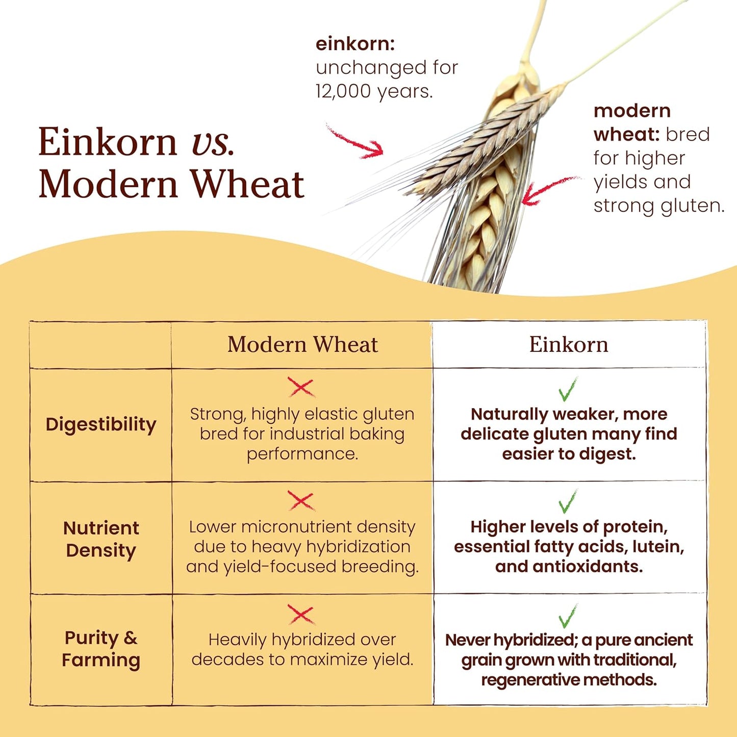 Jovial 32 oz Organic Einkorn Unbleached All Purpose Flour for Sourdough Pizza Pasta European Italian Bread Baking