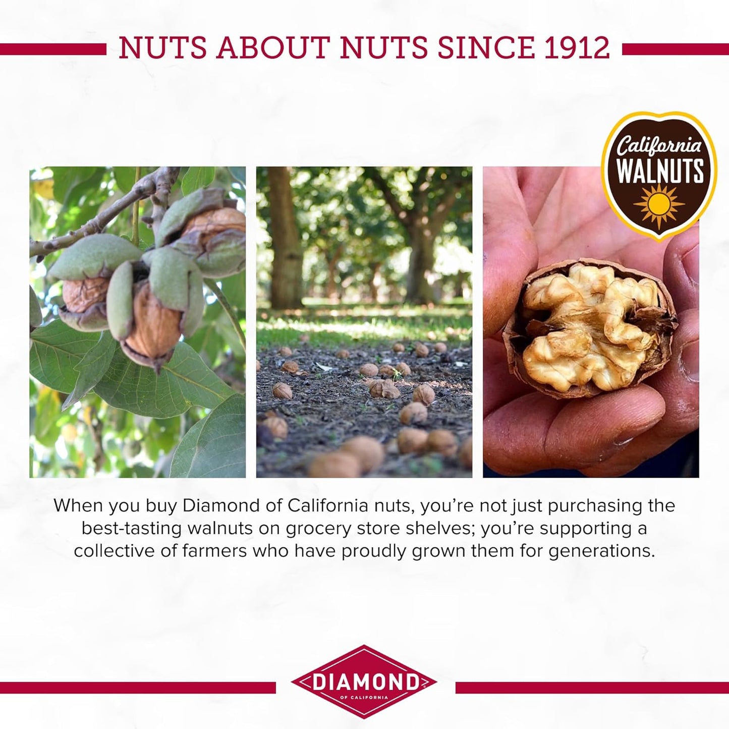 Diamond of California Shelled Walnut Halves and Pieces, pre-shelled raw walnuts for baking and snacking, 32 oz, unsalted and non-gmo